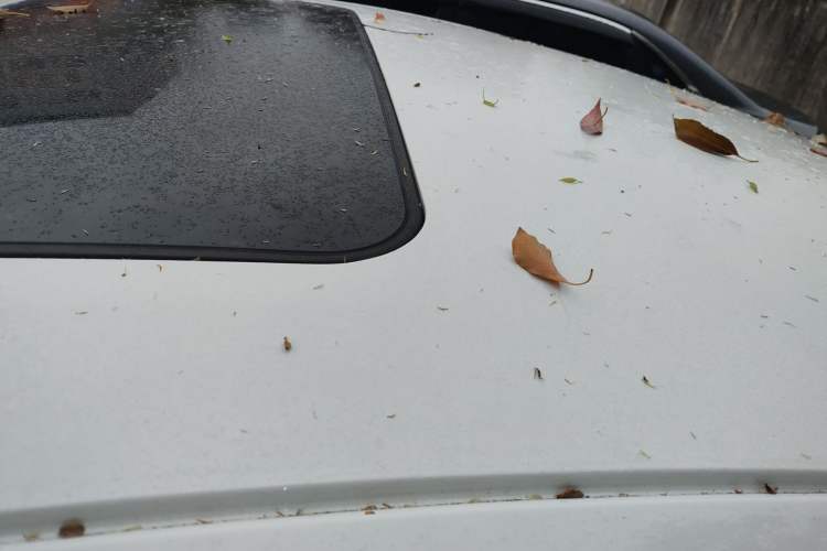 Used Buick Regal 2015 1.6T Elite Tech Model