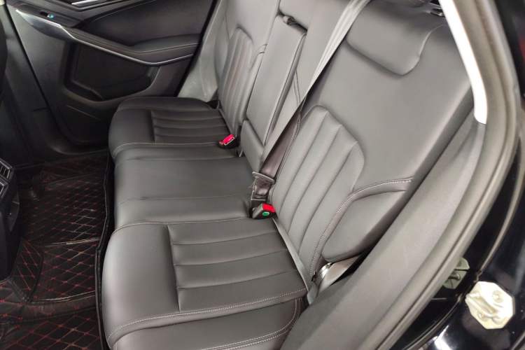 Used Ford Territory 2020 Lingjie S EcoBoost 145 CVT Platinum Edition Left Rear Seat