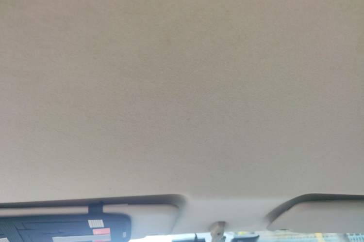 Used Nissan NV200 2016 Revised Version 1.6L CVT Luxury Edition Headliner