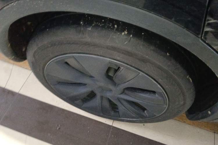 Used Tesla Model Y 2023 Rear-Wheel-Drive Version
