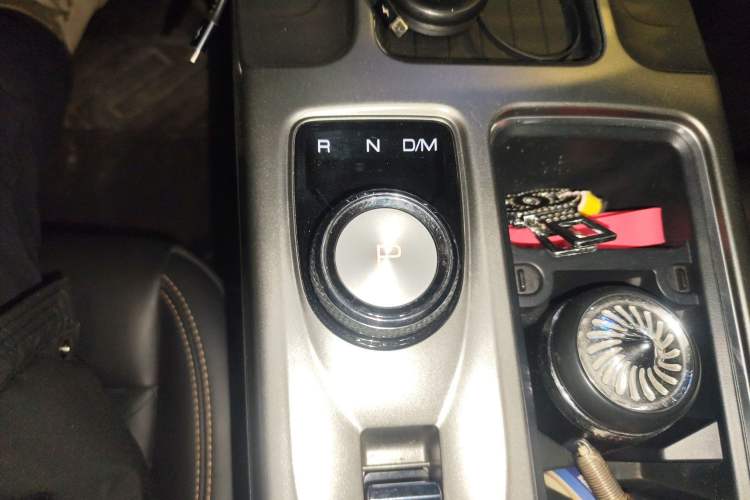 Used Haval DARGO 2024 2.0T DCT Chinese Rural Dog Edition
