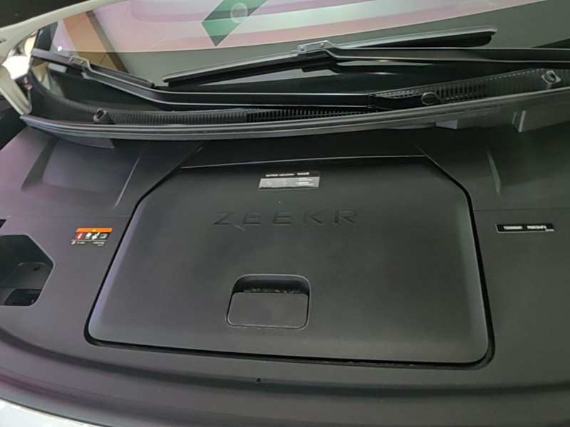 Used Zeekr 009 2022 WE Edition — 19