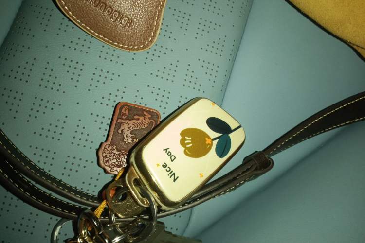 Used Chery Little Ant 2023 301km True Love Plus Version Lithium Iron Phosphate
