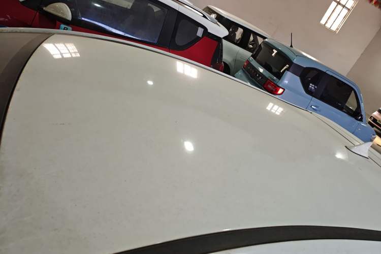 Used SOL E10X 2022 Flower Fairy Style Baby's Breath