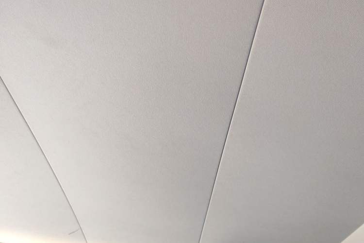 Used Land Rover Range Evoque 2016 2.0T SE Smart Glow Edition Headliner