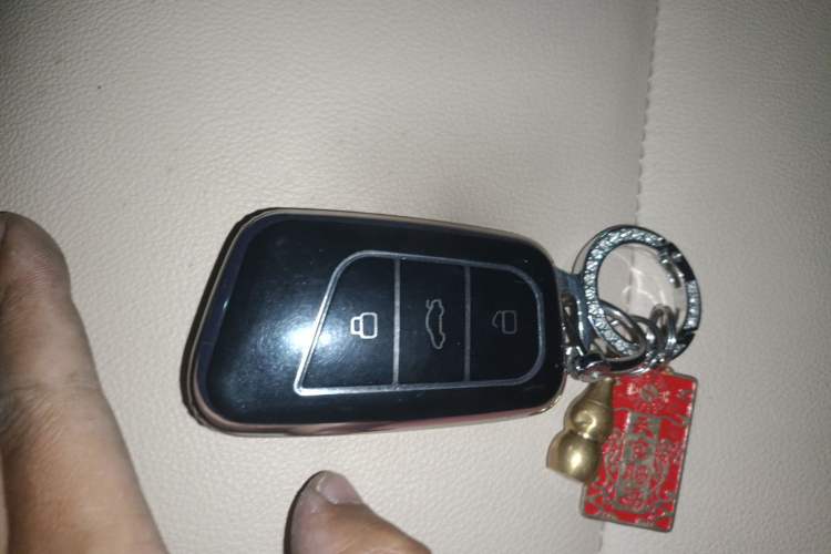 Used Chery QQ Little Ant 2021 150 000 Yuan "Ant Fan" Edition New Ant Cool Version Lithium-Ion Battery
