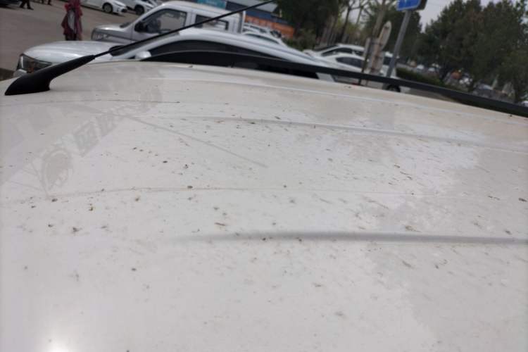 Used Wuling Hongguang 2019 1.5L S Comfort Edition China VI LAR Roof