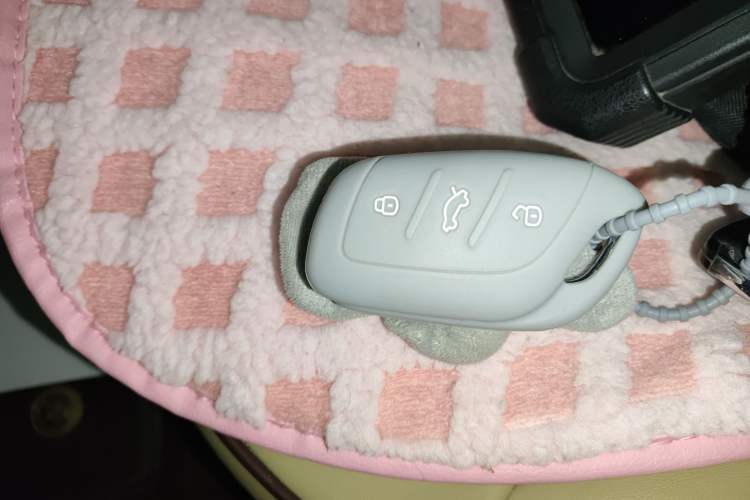 Used Roewe Clever 2020 Urban Style Edition
