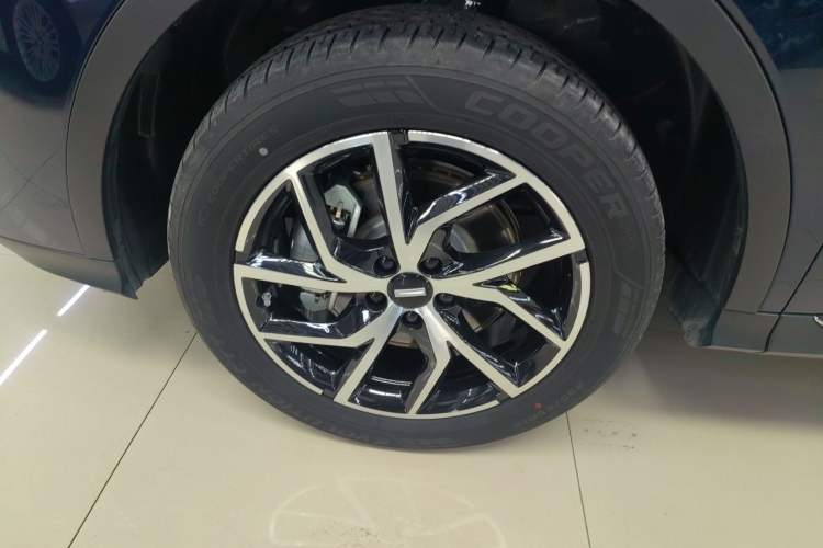 Used Wey Latte DHT-PHEV 2022 1.5T Four-Wheel Drive Extra-Large Version