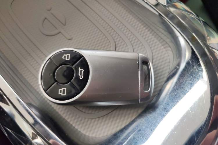 Used ORA Ballet Cat 2022 401 km Nutcracker Edition