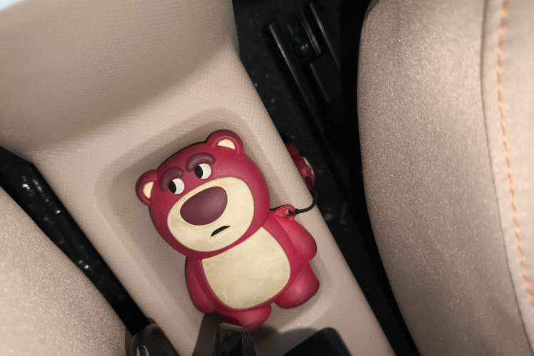 Used Geely Galaxy Panda 2023 Panda Mini 200km Endurance Bear Vehicle Key