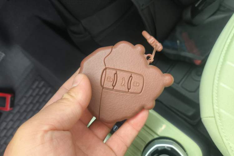 Used Geely Galaxy Panda 2023 Panda Mini New Year Edition Treasure Bear
