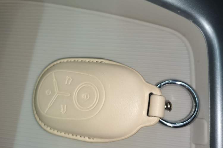 Used Geely Galaxy Geome 2025 310km Youth Edition
