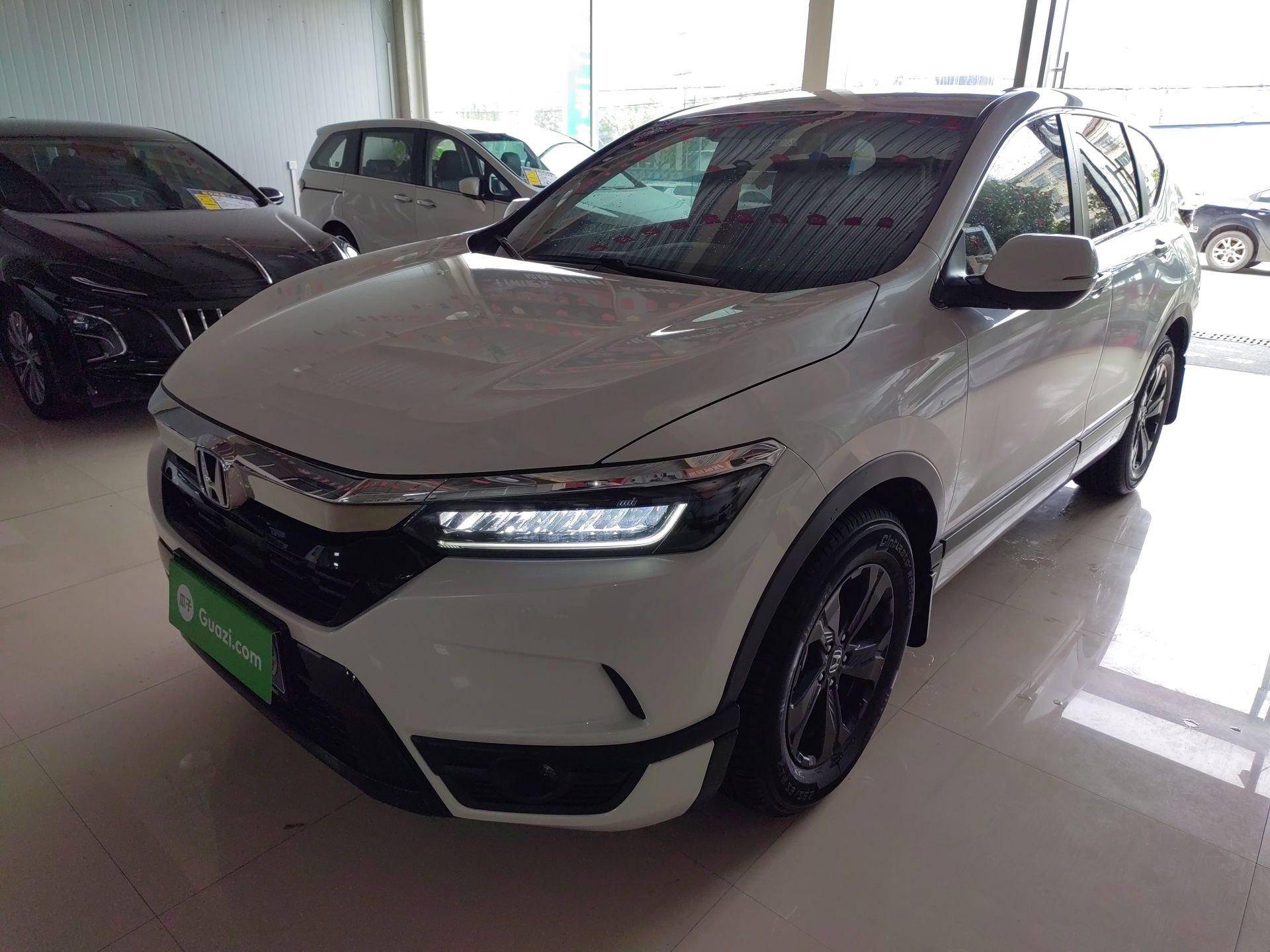 Parte inferior delantera