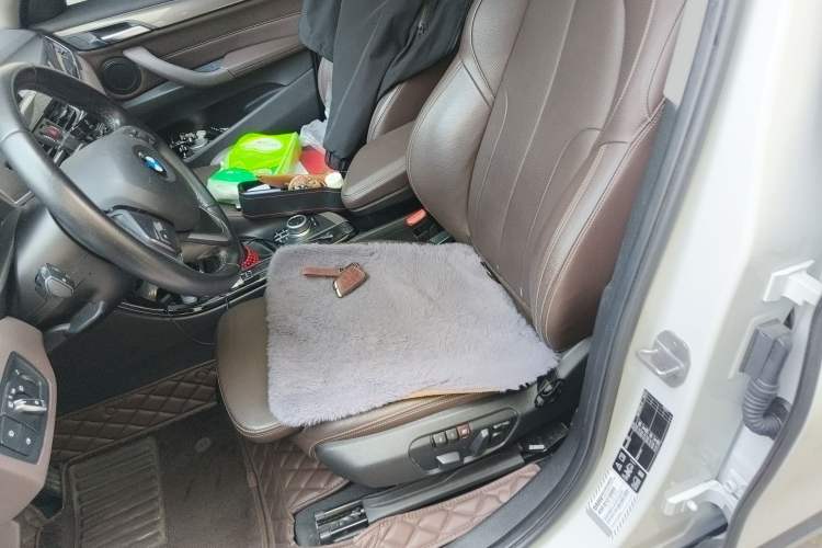 Used BMW X1 2019 xDrive20Li Luxury Model
