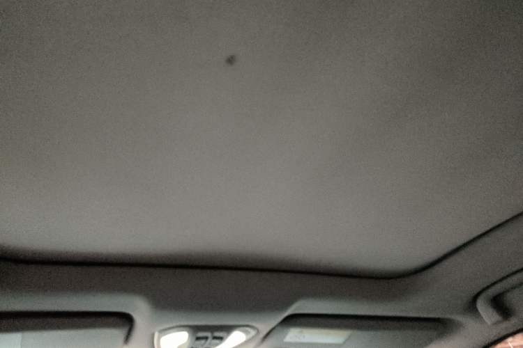Used Leopaard CS9 2017 1.5L CVT Comfort Model Headliner