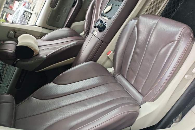 Used Leapmotor C11 2021 Zhixing Edition 510