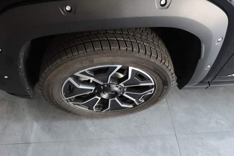 Used Haval H Dog New Energy 2024 Hi4 102km Trend Electric Version Plus Exterior 4