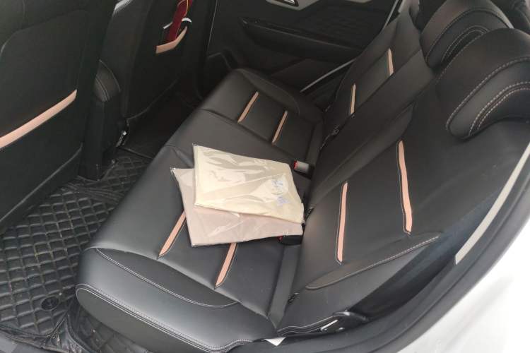 Used SOL E10X 2022 Flower Fairy Style Baby's Breath