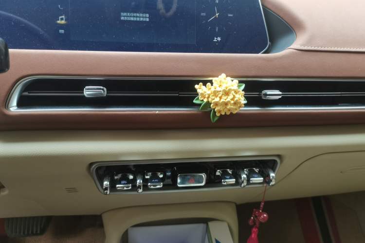 Used ORA Good Cat 2021 400km Standard Range Athena Edition Lithium Iron Phosphate