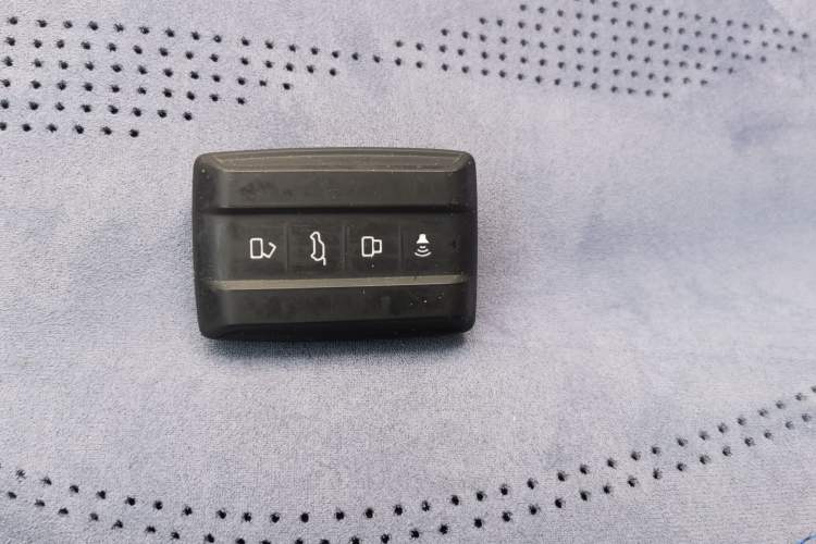 Used Tank 300 2024 2.0T Crosser
