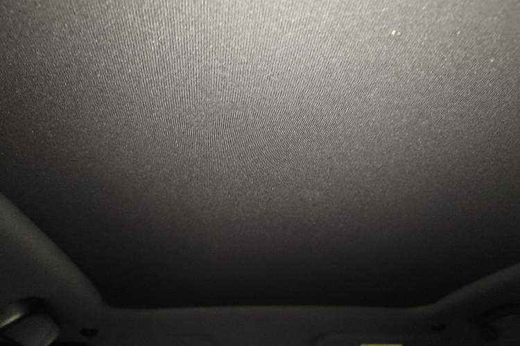 Used BYD Dolphin 2023 420 km Fashion Edition Headliner