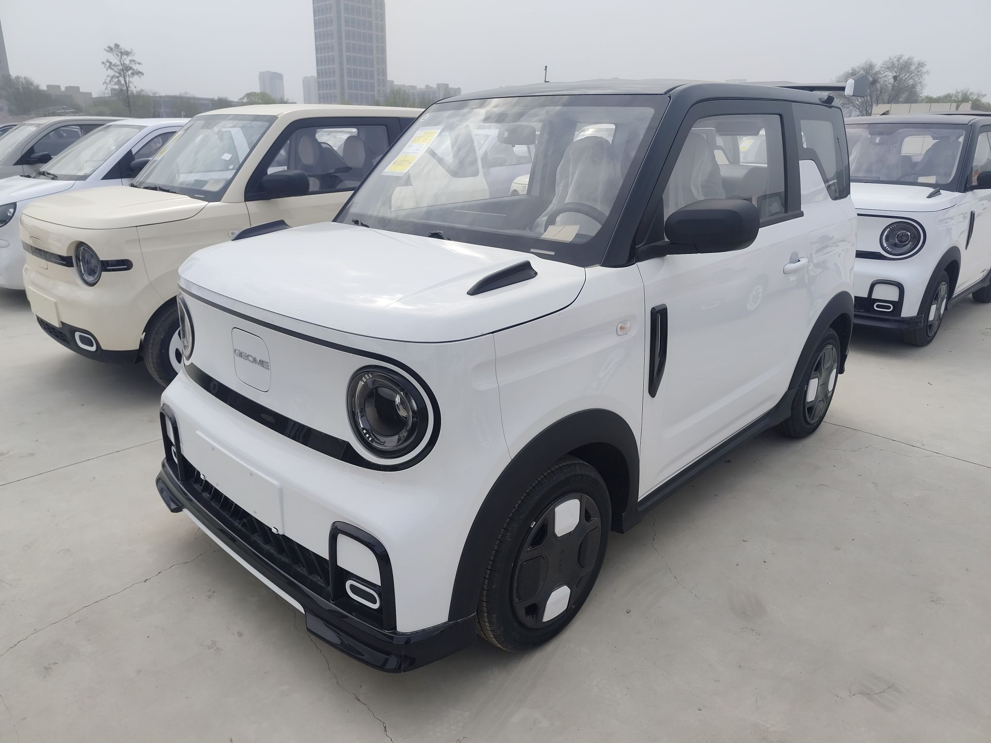 Parte inferior delantera