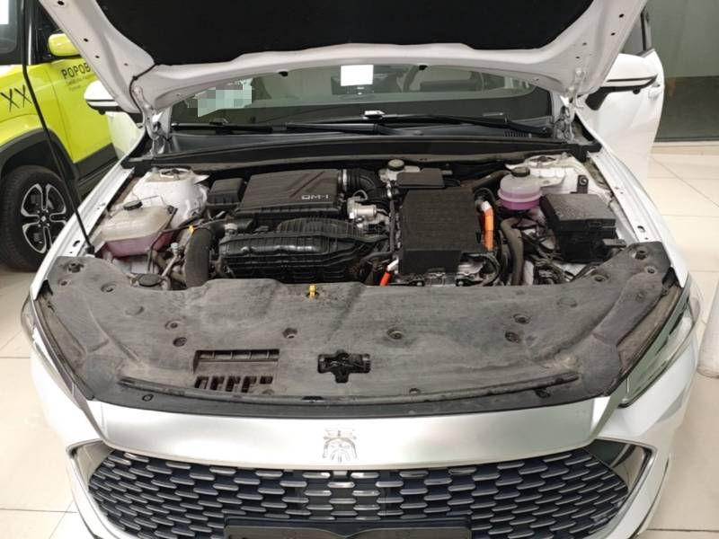 Used BYD Qin PLUS 2024 HONOR Edition DM-i 55KM Leading Model — 19