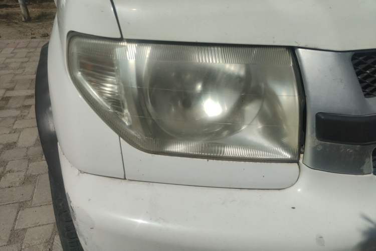 Used Leopaard Feiting 2009 2.0L 4x4 Standard Edition
