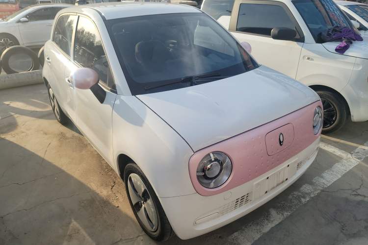 Used ORA Black Cat 2022 Updated Version 301 km Cute Pet Edition Lithium Iron Phosphate Front Right 45 Deg