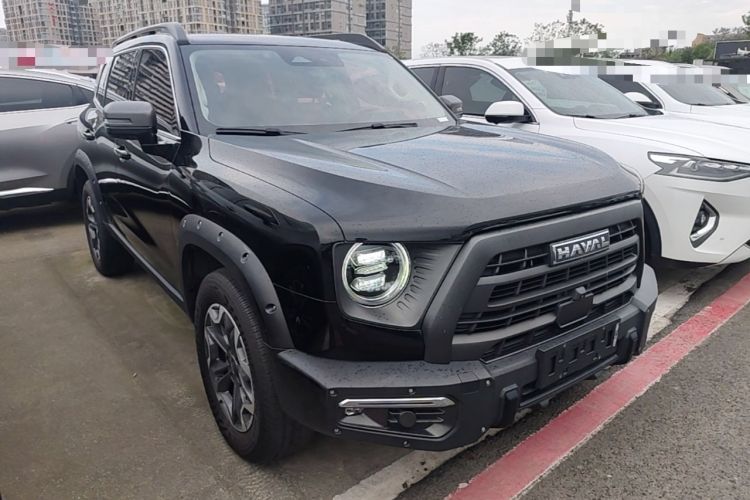Used Haval DARGO 2024 2.0T DCT Chinese Rural Dog Edition