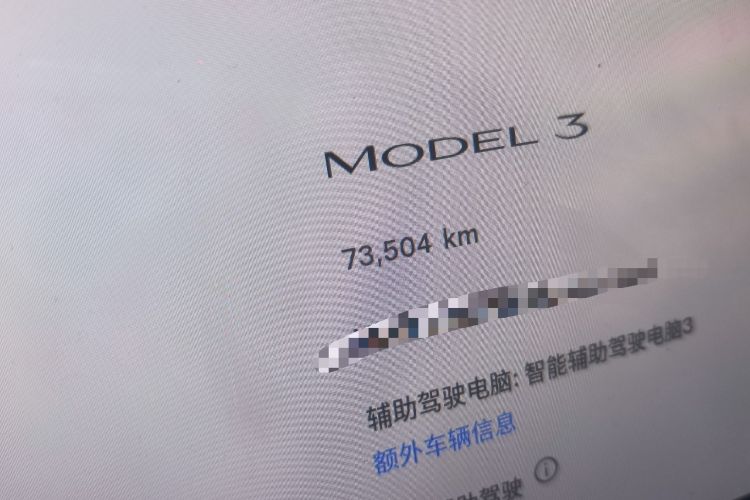 Used Tesla Model 3 2022 Rear-Wheel-Drive Version