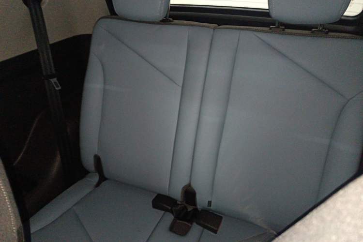 Used Chery Little Ant 2024 Revised Version Youth Edition 251 km True Love Edition 25.05 kWh Left Rear Seat