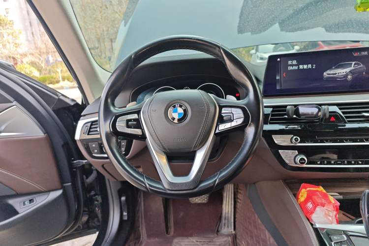 Used BMW 5 Series 2019 530Li Leading Model Luxury Package Steering Wheel