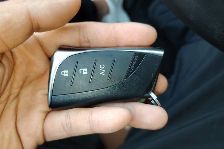 Used Lexus UX New Energy 2020 300e Pure·Joy Edition