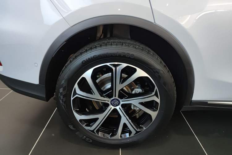 Used BYD Tang New Energy 2025 Intelligent Driving Version DM-i 115KM Flagship Edition Exterior 5