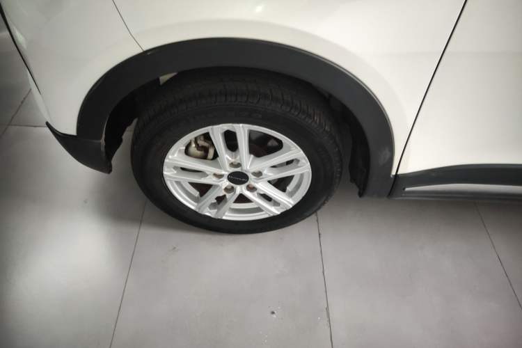 Used Dayun Yuehu 2022 30.66 kWh Two-Wheel Drive Standard Version
