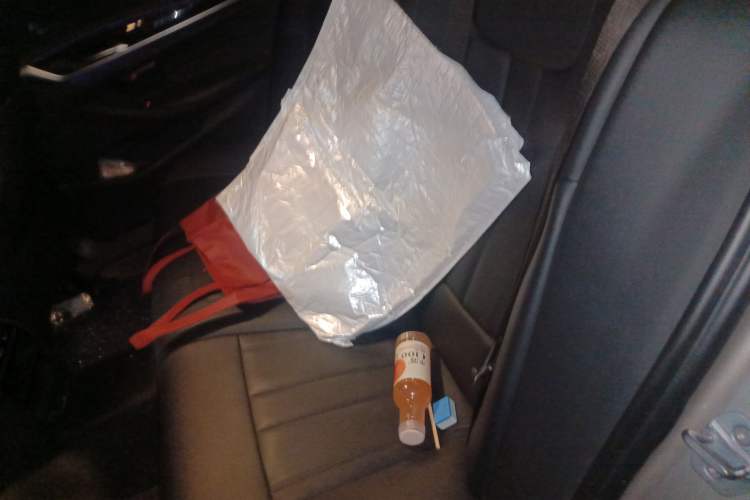 Used BMW 5 Series 2018 525Li Luxury Package Left Rear Seat