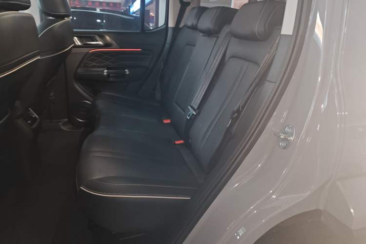 Used Tank 300 2024 2.0T Crosser