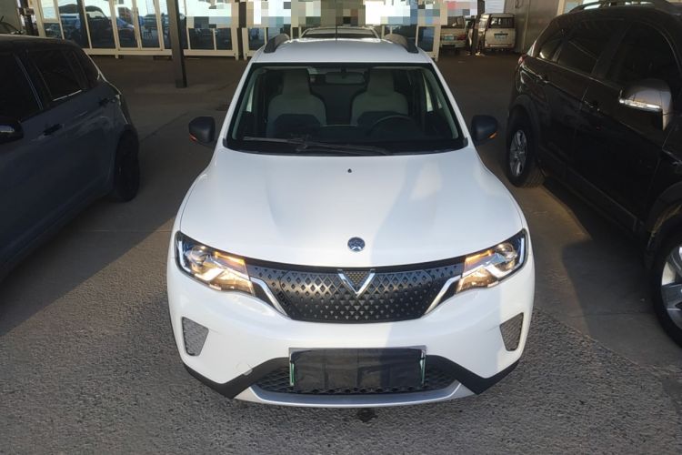 Used Venucia e30 2020 Elite Edition
