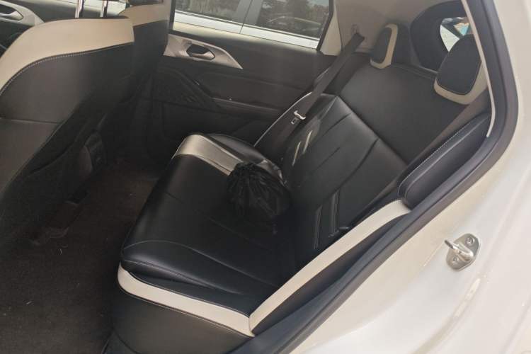 Used Geometry E Firefly 2022 401 km Linglong Tiger 4 Seats
