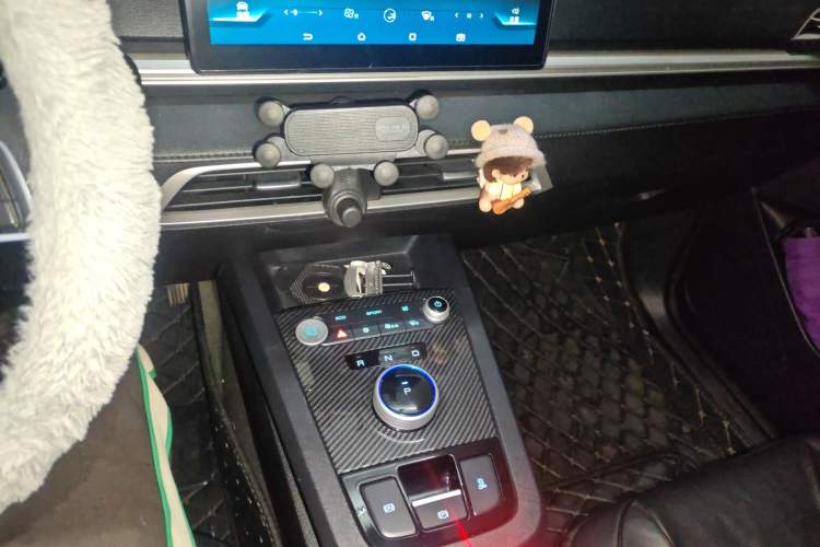 Used BYD e2 2021 Comfort Model Gear Lever