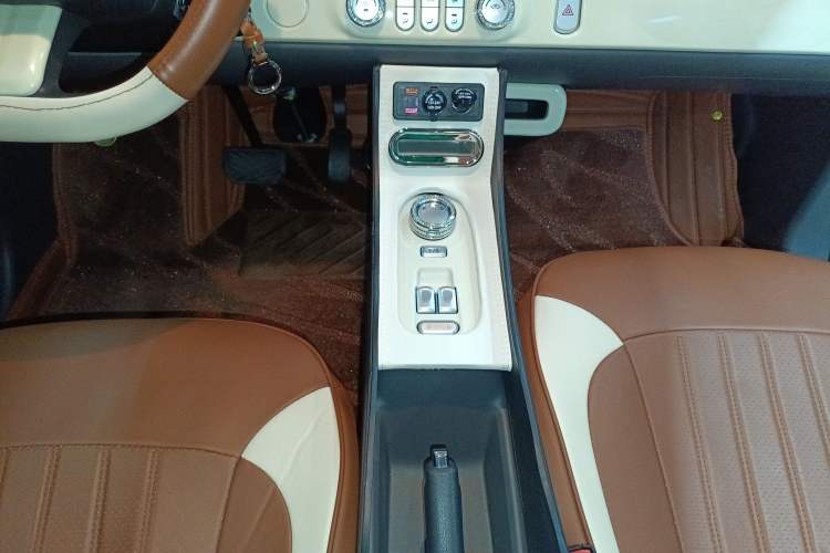 Used Qiyuan Lumin 2023 205km Xiangqin Version
