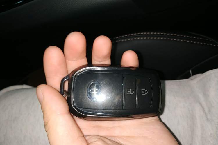 Used Toyota Wildlander 2024 Dual-Motor 2.5L E-CVT Two-Wheel Drive Luxury PLUS Edition
