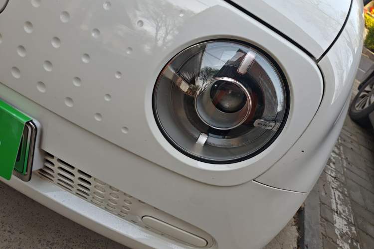 Used ORA Black Cat 2019 351 km Fun Edition
