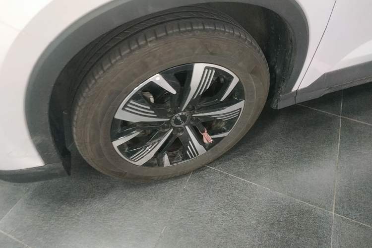 Used BYD Sealion 05 DM-i 2025 DM-i 75KM Prestige Model
