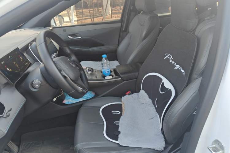 Used BYD Qin PLUS 2025 DM-i Smart Drive 55KM Leading Model Left Front Seat