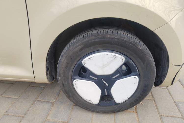 Used Qiyuan Lumin 2023 205km Xiangqin Version
