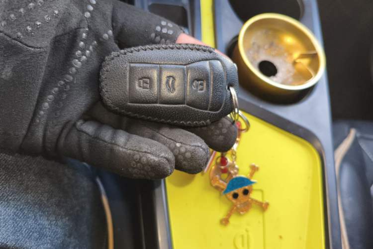 Used SOL E10X 2022 Flower Fairy Style Baby's Breath
