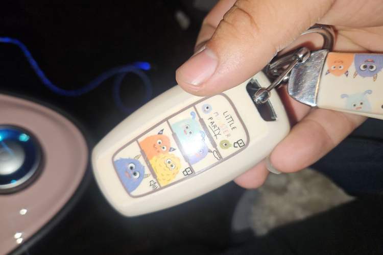 Used ORA Black Cat 2022 301km Base Version Ternary Lithium